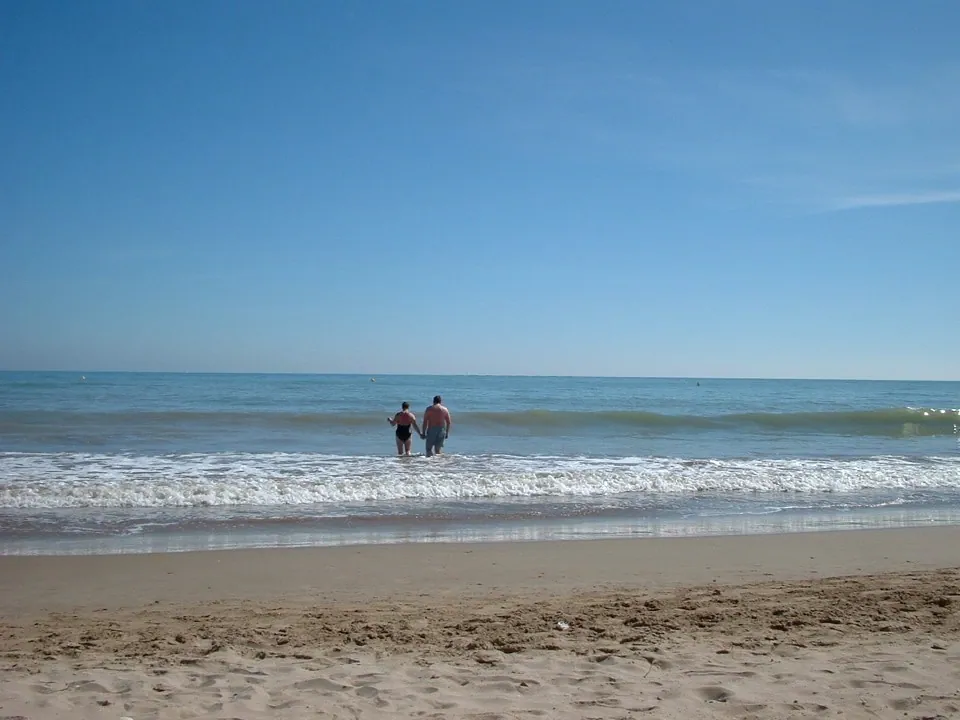 Mediterranean dip73