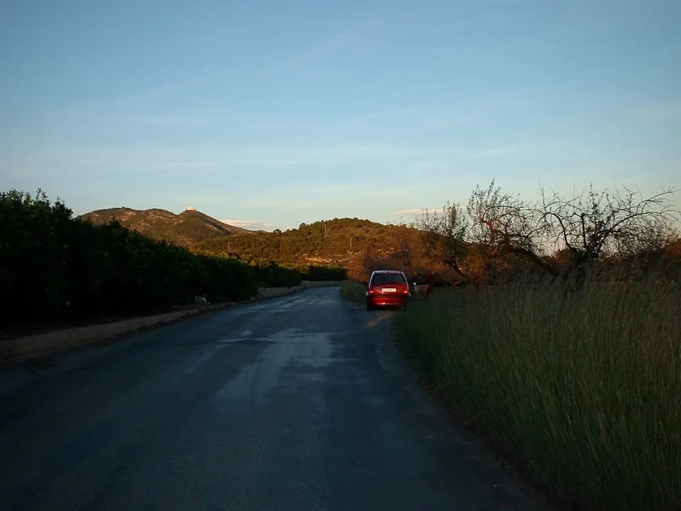 Orange grove