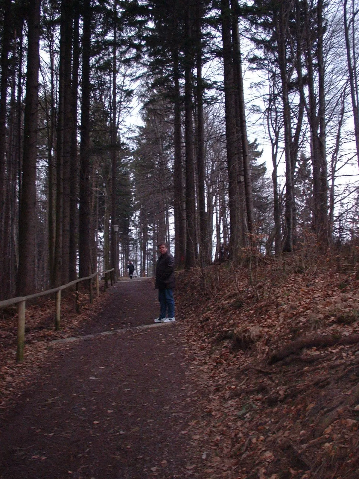 Dscf0042