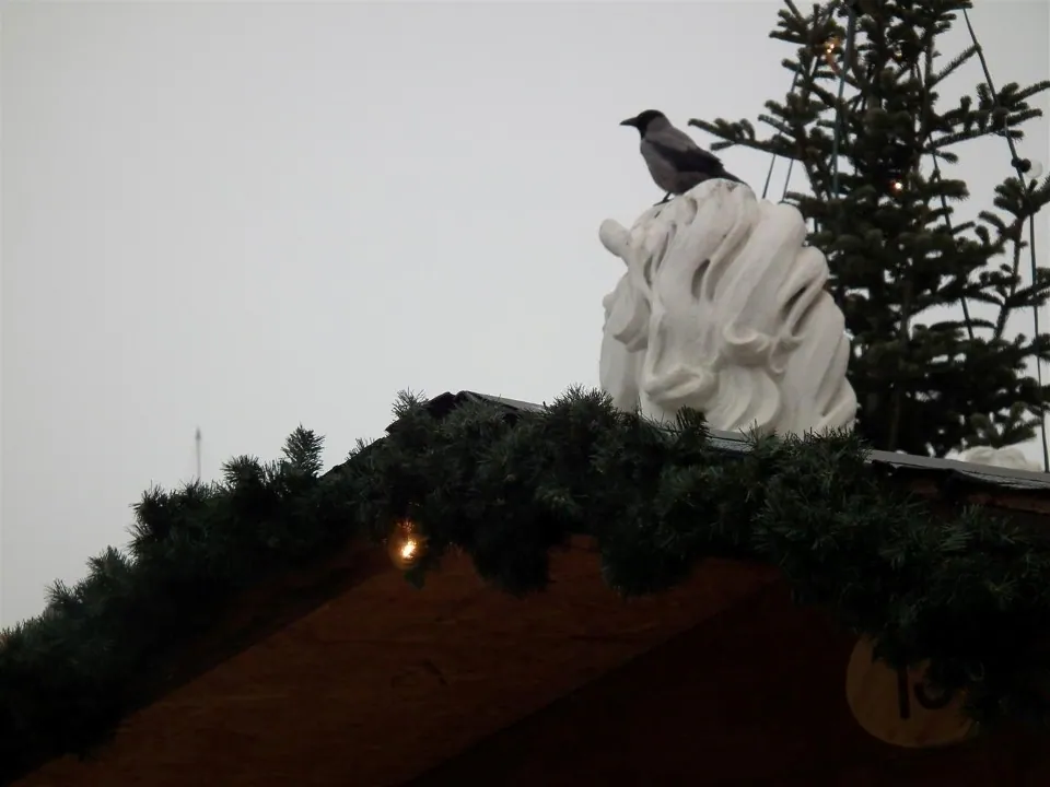 Austria Vienna for Christmas