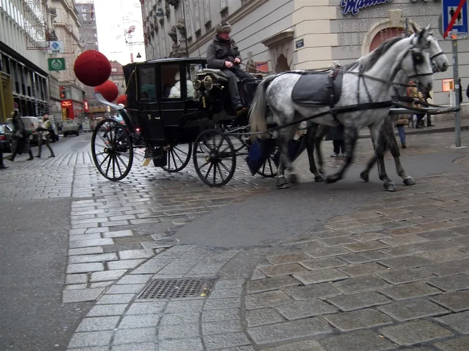 Austria Vienna for Christmas