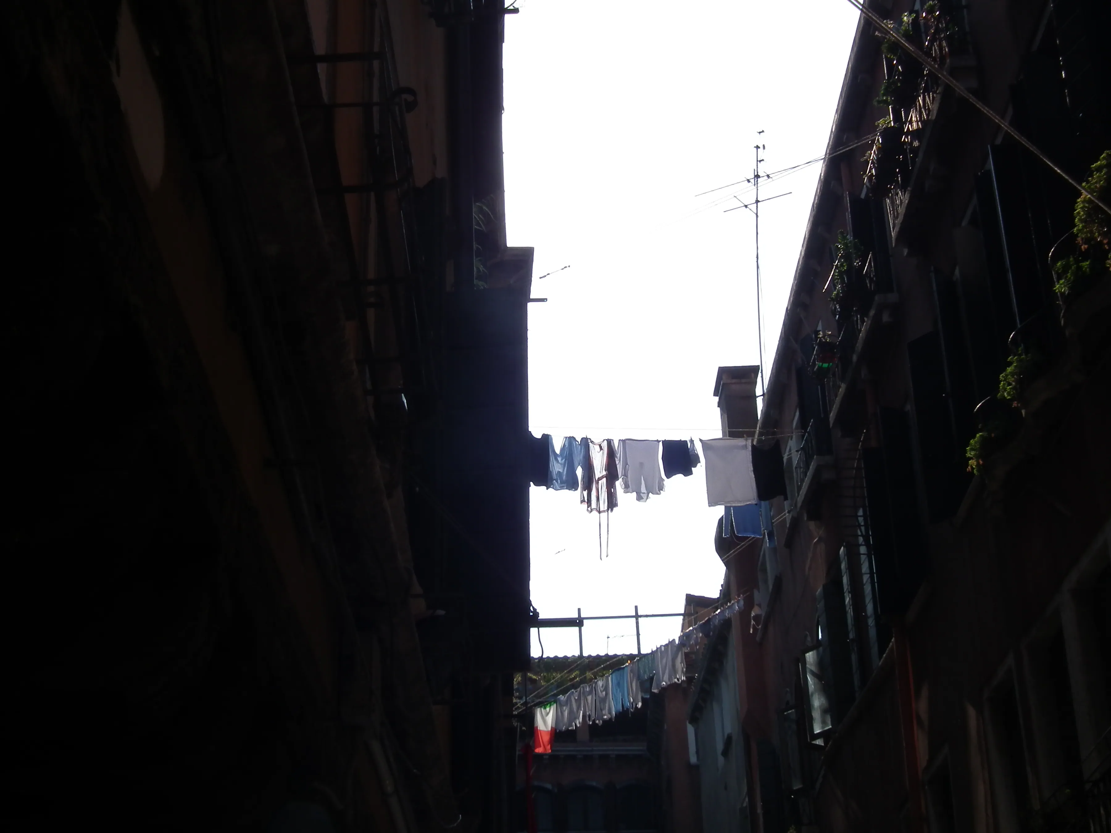 Dscf1388