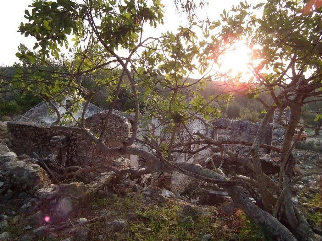 Dscf4030