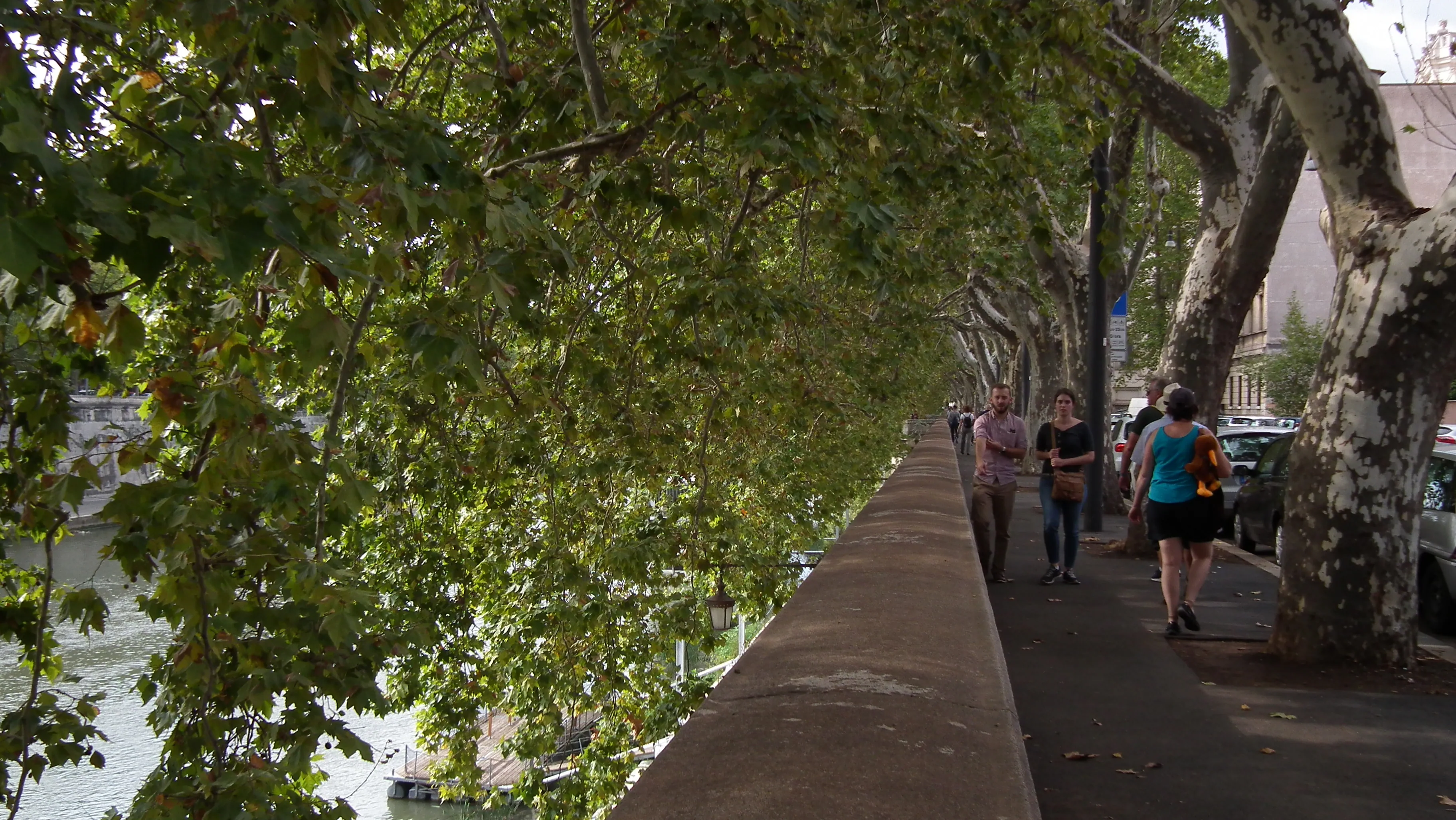 Dscf4372