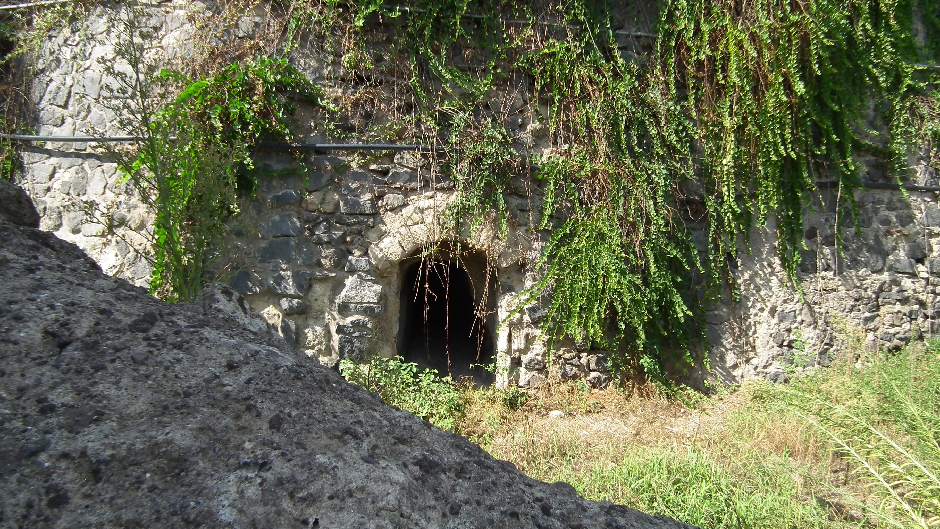 Dscf4463