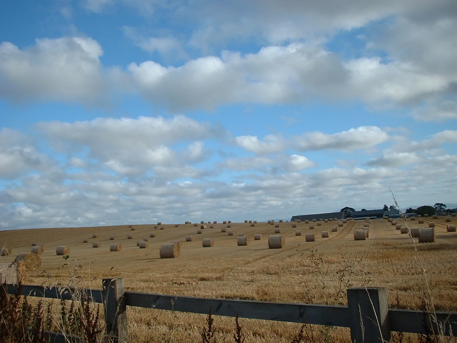 Dscf0072