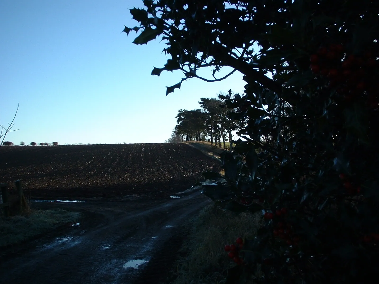 Dscf0038
