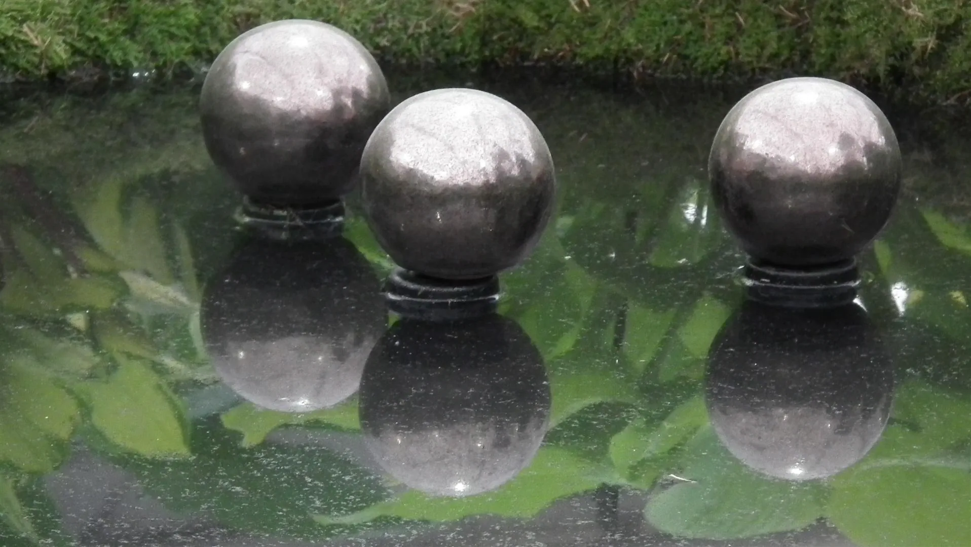 Dscf5507