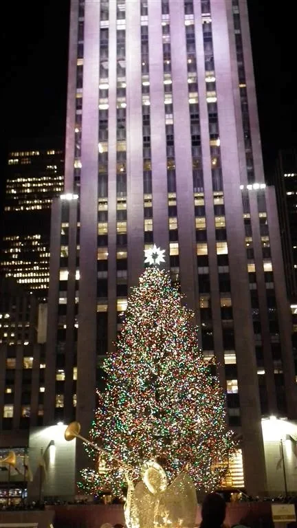 Dscf6820