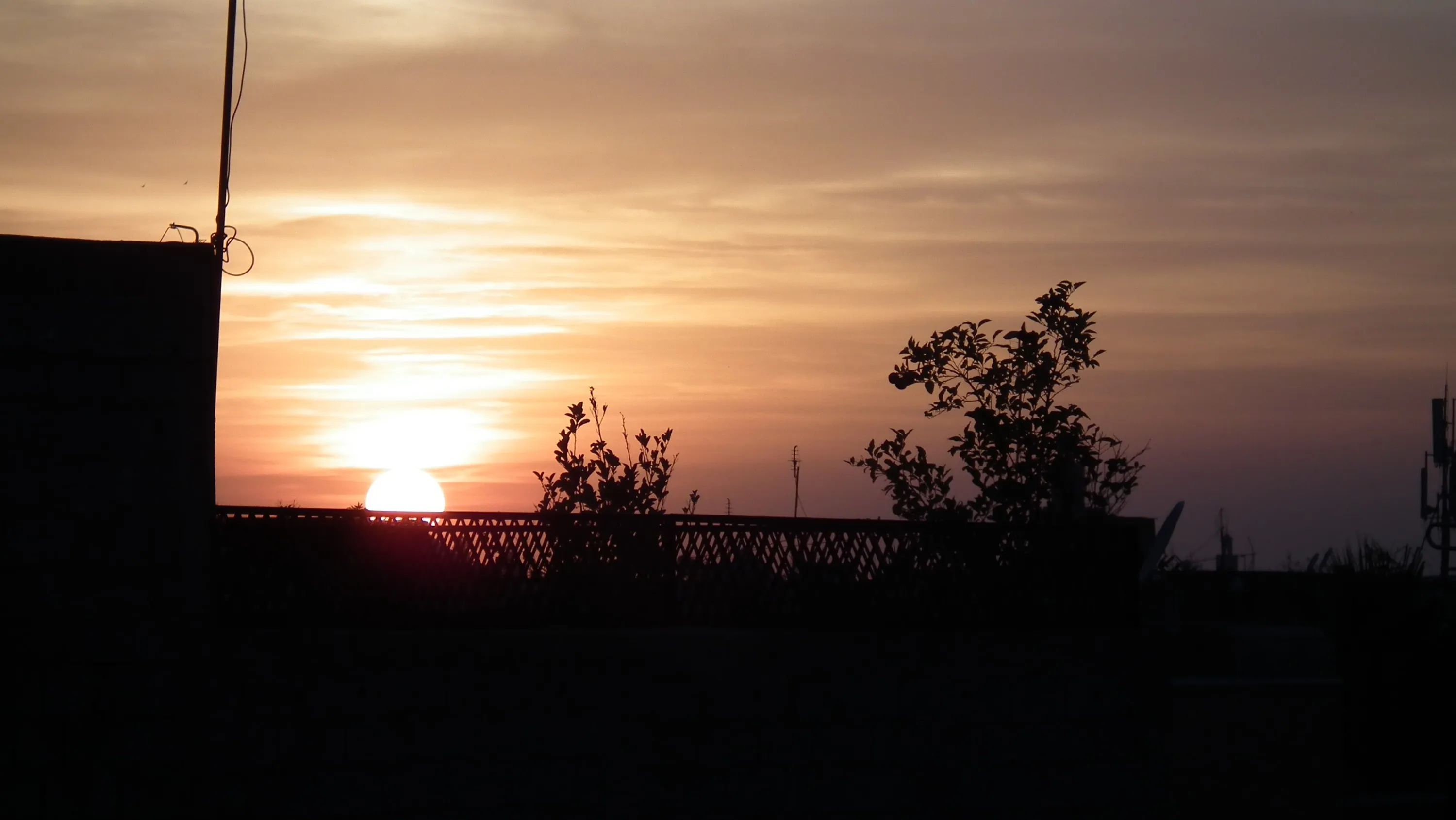 DSCF1388
