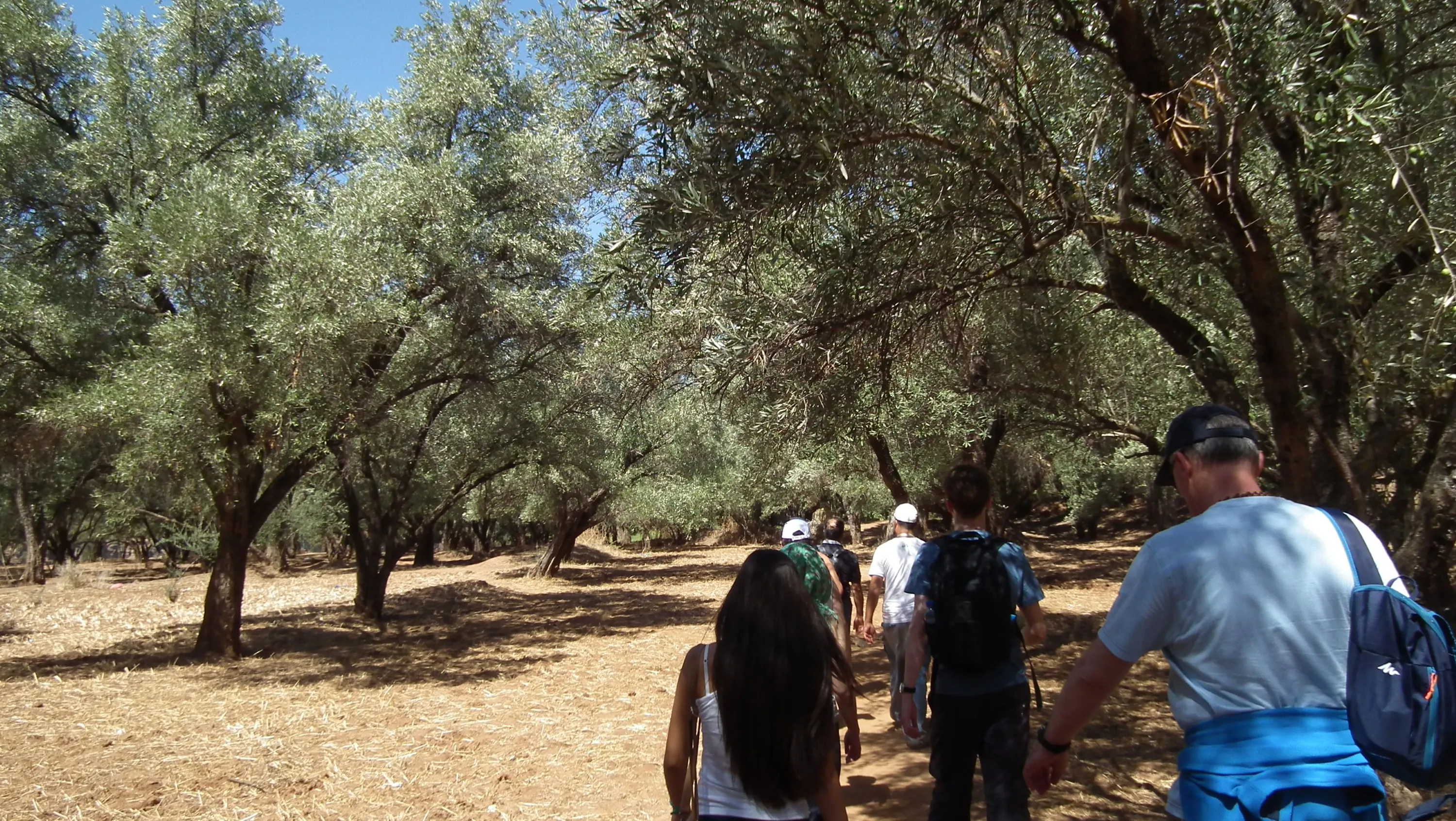 DSCF1416