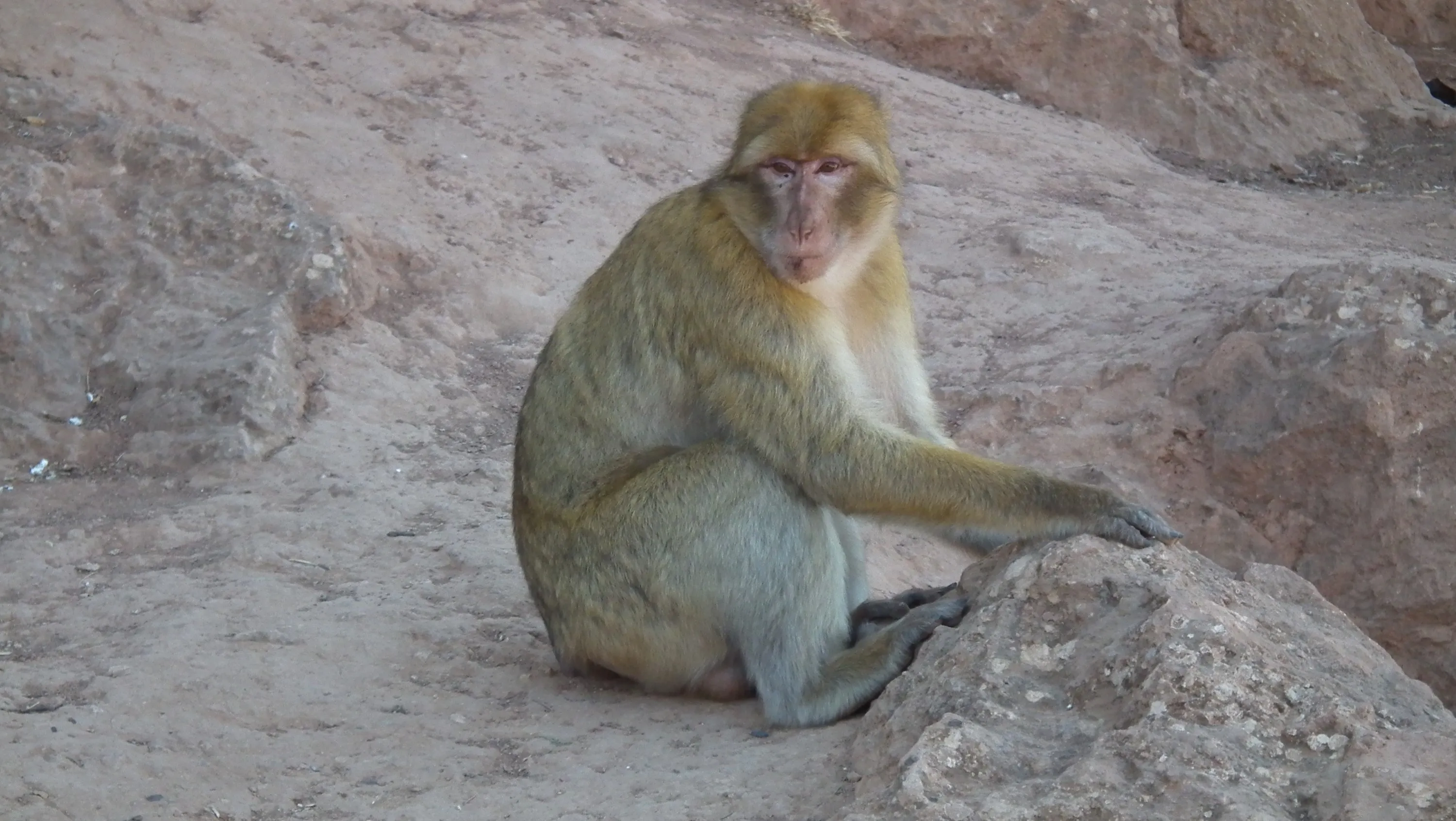DSCF1477