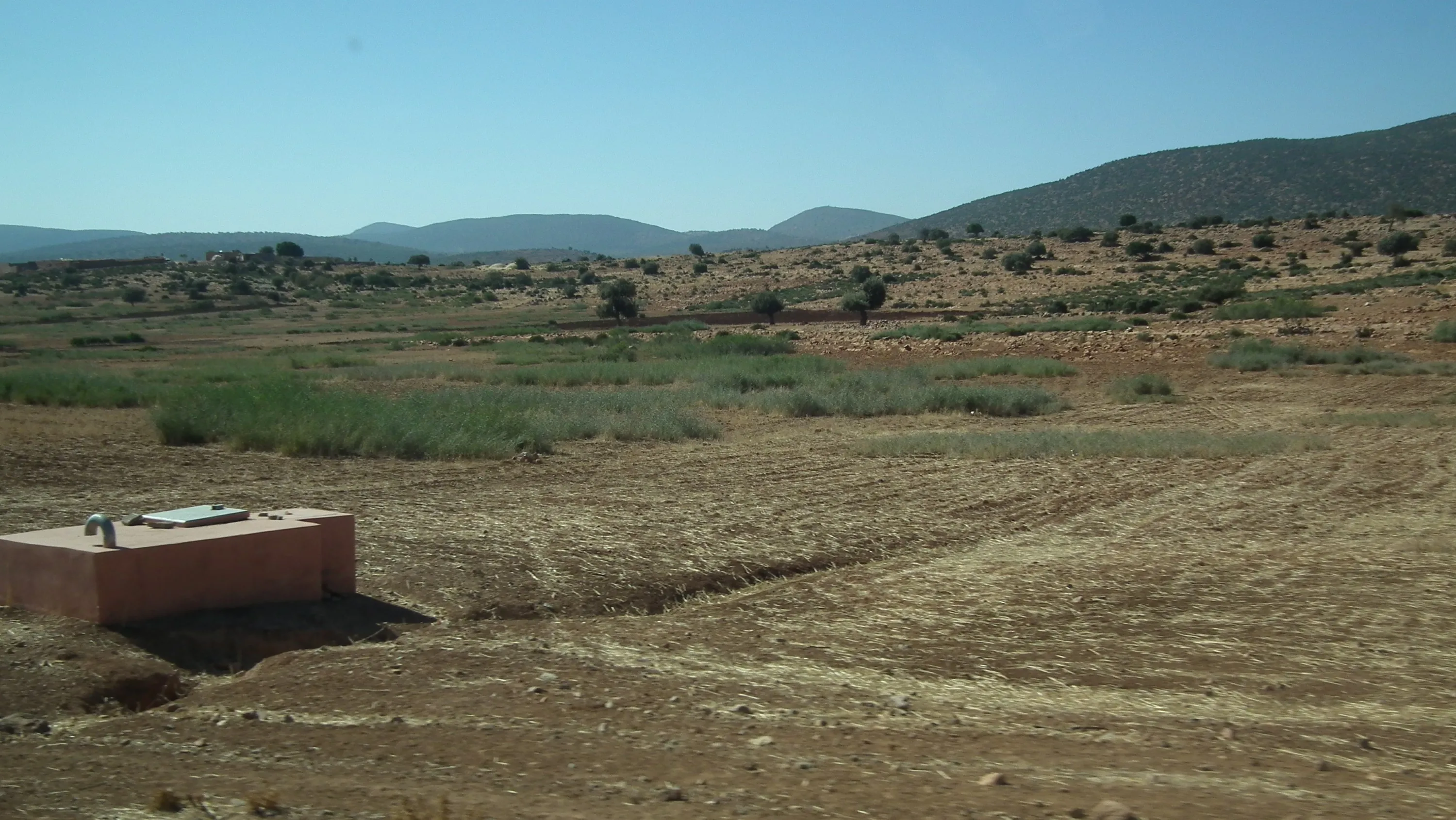 DSCF1482