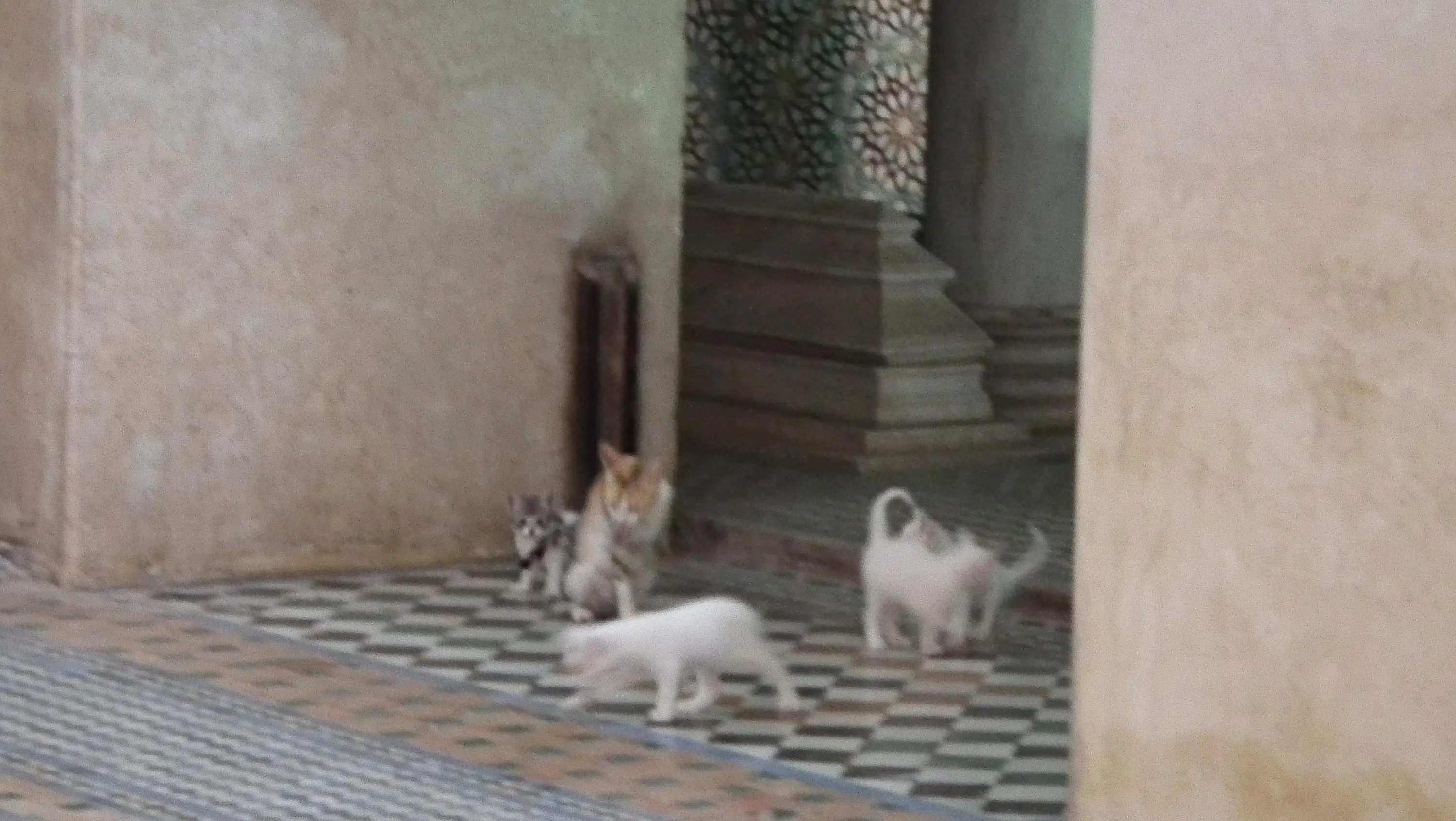 DSCF1545