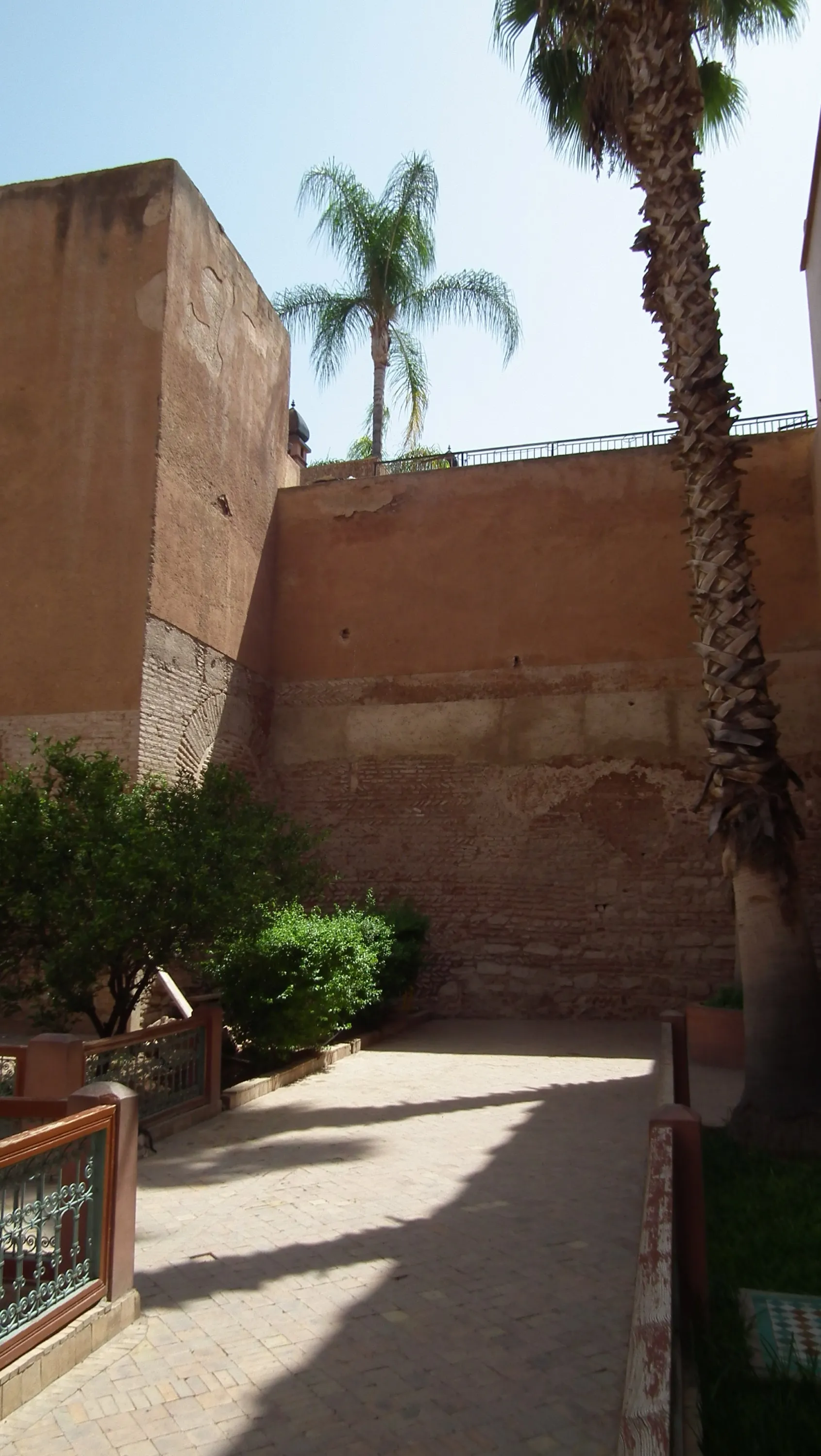 DSCF1549